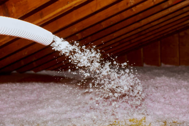 Insulation Inspection Services in Stanton, MI