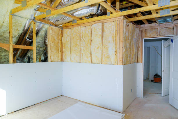 Best Insulation for New Construction  in Stanton, MI