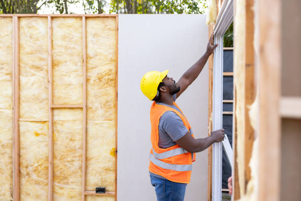 Best Insulation Inspection Services  in Stanton, MI