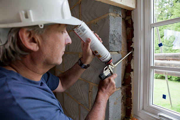 Best Local Insulation Services  in Stanton, MI
