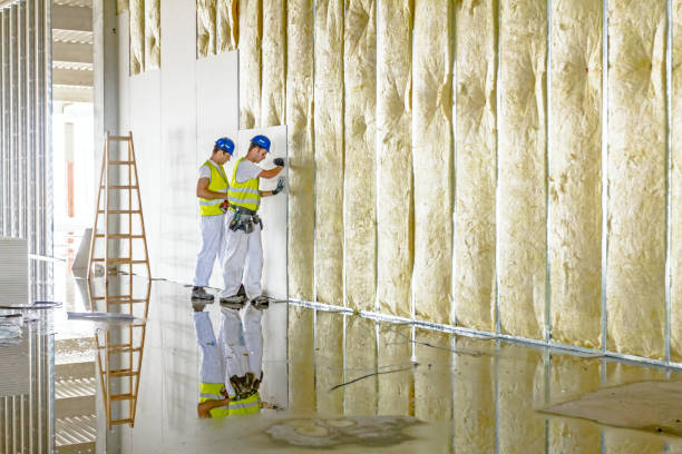 Best Home Insulation Services  in Stanton, MI